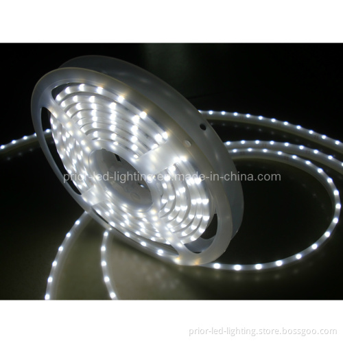 SMD LED Strip